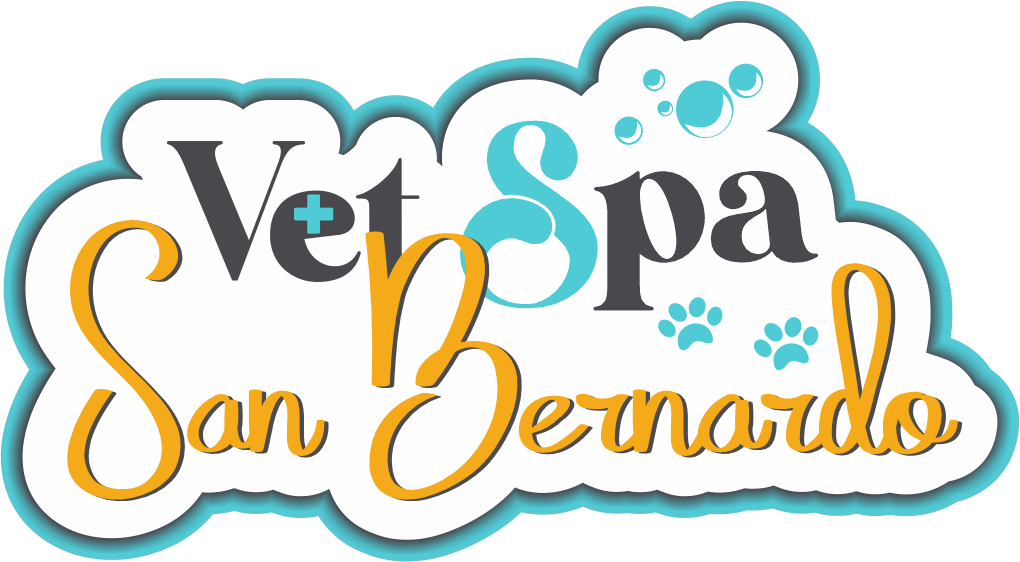 Veterinaria | Disponible